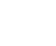 Evolution games at Bit 4 Win Casino